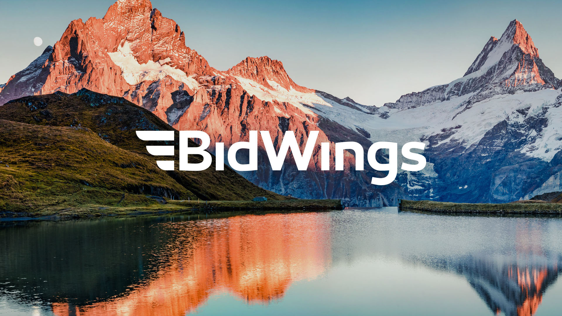 Bidwings