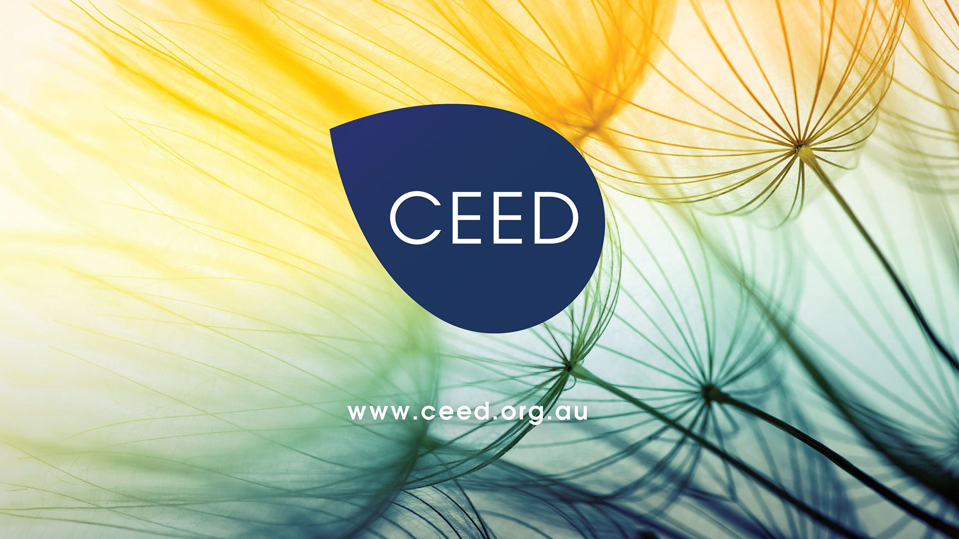 CEED